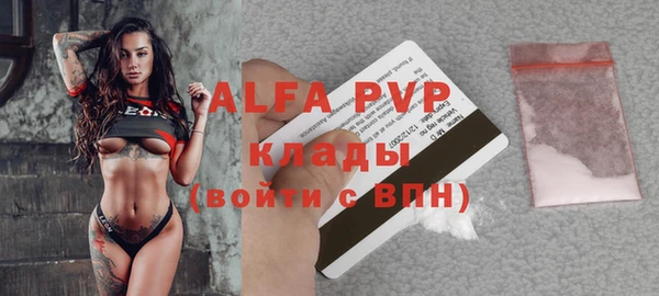 гашик Абаза